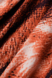 Ginger Casual Print Leopard Frenulum V Neck Straight Plus Size Dresses