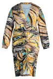 Multicolor Fashion Casual Print Patchwork V Neck Long Sleeve Plus Size Dresses