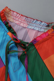 Colour Casual Print Patchwork Frenulum Fold V Neck Straight Dresses(Without Belt)