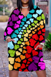 Multicolor Casual Print Basic V Neck Long Sleeve Dresses