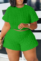 Green Casual Solid Basic O Neck Plus Size Two Pieces