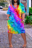 Colour Casual Print Basic V Neck Short Sleeve Dress