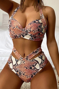 Brown Sexy Print Hollowed Out Patchwork Frenulum Backless Swimwears (With Paddings)