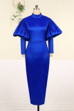 Blue Casual Solid Basic Turtleneck Long Sleeve Dresses