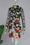 Black Celebrities Floral Patchwork Zipper O Neck Long Sleeve Dresses