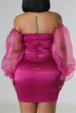 Pink Sexy Solid Backless Off the Shoulder Long Sleeve Dresses