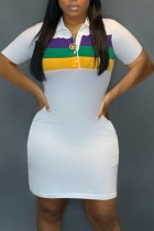 White Striped Print Basic Turndown Collar Short Sleeve Dress