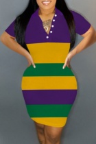 Purple Yellow Striped Print Basic Turndown Collar Short Sleeve Dress