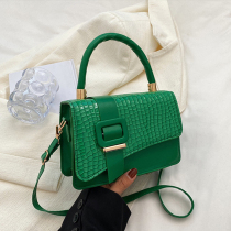 Green Simplicity Animal Print Patchwork Asymmetrical Bags