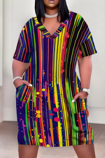 Multicolor Casual Print Patchwork Pocket V Neck Straight Plus Size Dresses