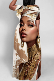 Brown Casual Print Basic V Neck Long Dress Dresses