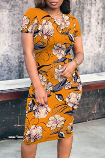 Tangerine Red Casual Print Patchwork O Neck Wrapped Skirt Dresses