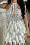 White Sexy Solid Color Patchwork See-Through Feathers Hot Drill Zipper O Neck Wrapped Skirt Dresses