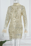Silver Sexy Patchwork Sequins See-Through Half A Turtleneck Long Sleeve Dresses