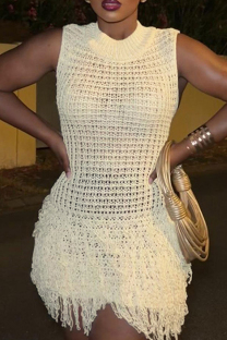 Apricot Celebrities Solid Color Fringed Trim Hollow Out Patchwork Half A Turtleneck Straight Dresses