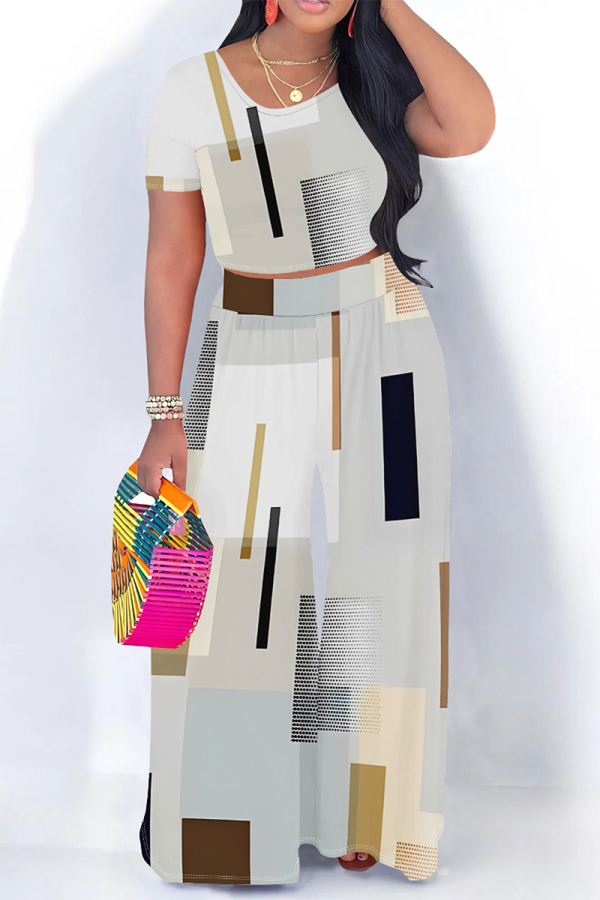Light Beige Gray Casual Geometric Print Leopard Print Contrast O Neck Short Sleeve Two Pieces