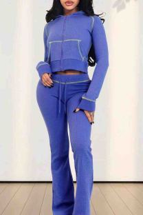 Light Purple Casual Solid Color Draw String Pocket Patchwork Zipper Zipper Collar Long Sleeve Two Pieces