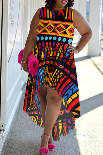 Multicolor Casual Print Patchwork O Neck Irregular Plus Size Dresses