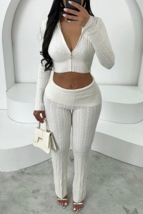 White Casual Solid Color Zipper Hooded Two Pieces