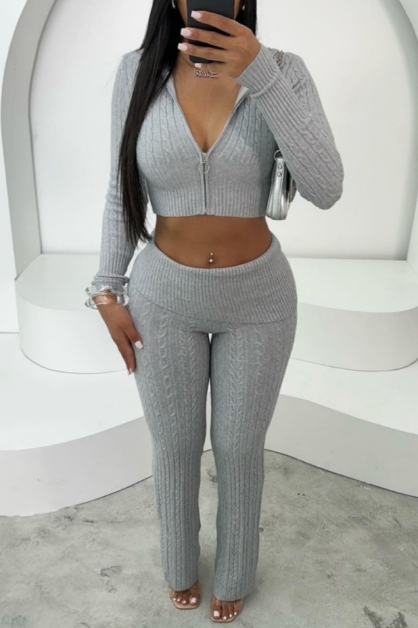 Grey Casual Solid Color Zipper Hooded Two Pieces