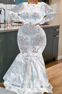 White Sexy Solid Color Lace Patchwork Mesh Zipper O Neck Long Plus Size Dresses