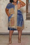 Baby Blue Casual Street Faux Denim Print Pocket Contrast V Neck Printed Plus Size Dresses