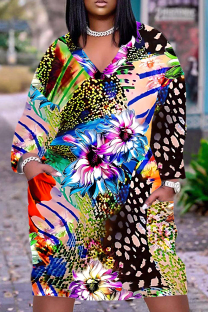 Multicolor Casual Floral Print Basic V Neck Long Sleeve Plus Size Dresses