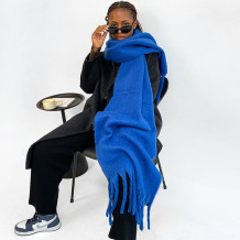 Royal Blue Casual Daily Solid Color Tassel Scarf