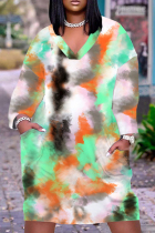 Multicolor Casual Print Basic V Neck Long Sleeve Plus Size Dresses