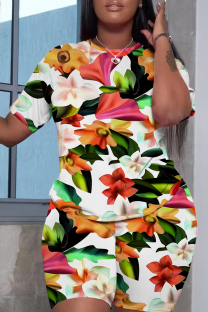 Multicolor Casual Print Basic O Neck Short Sleeve Two Pieces
