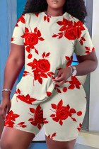 Apricot Casual Print Basic O Neck Short Sleeve Two Pieces