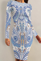 White Blue Casual Street Floral Print Contrast O Neck Printed Dresses