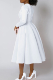 Baby Blue Elegant Solid Color Patchwork Zipper O Neck A Line Dresses