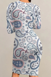 Light Blue Casual Street Floral Print Contrast O Neck Printed Dresses