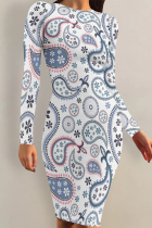 Light Blue Casual Street Floral Print Contrast O Neck Printed Dresses