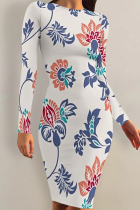 Apricot Casual Street Floral Print Contrast O Neck Printed Dresses