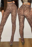 Coffee Sexy Leopard Print Patchwork See-Through Sports
