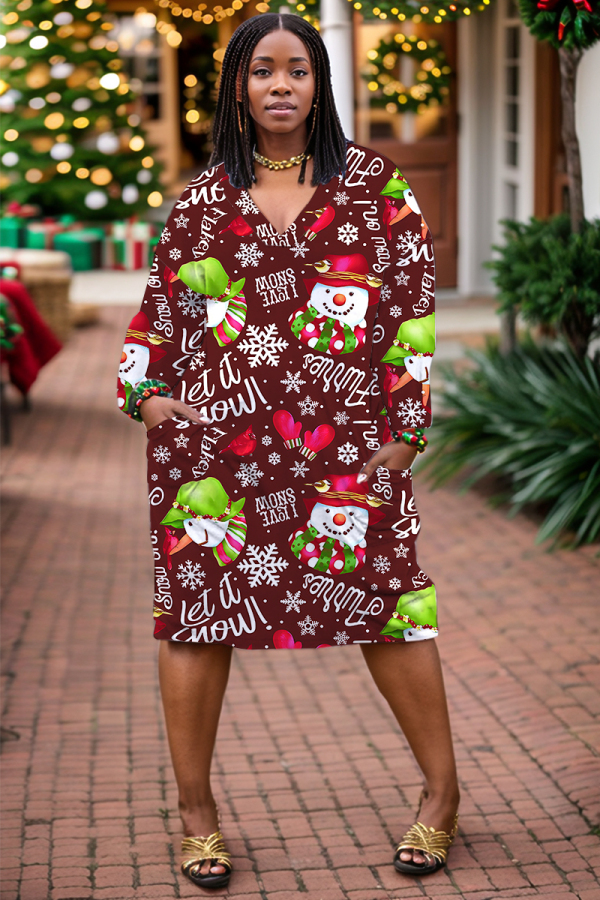 Brown Casual Print Pocket V Neck Long Sleeve Dresses