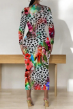 Leopard Print Casual Snakeskin Print Leopard Contrast O Neck Printed Dresses