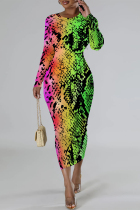 Snake Print Casual Street Flowers Snakeskin Print Gradient Leopard Contrast O Neck Printed Dresses