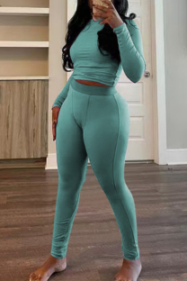 Lake Blue Casual Solid Color Basic O Neck Long Sleeve Two Pieces