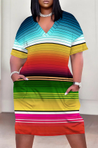 Stripe Casual Vacation Flowers Stripe Landscape printing Eye Pocket Contrast V Neck Printed Plus Size Dresses