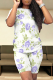 Grey Casual Street Floral Print Stripe Contrast O Neck Short Sleeve Two Pieces