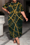 Multicolor Casual Chain print Leopard Pocket Contrast O Neck Printed Plus Size Dresses
