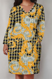 Baby Blue Street Plaid Flowers Pocket Contrast V Neck Printed Plus Size Dresses