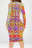 Colour Casual Geometric Print Contrast V Neck Printed Dresses