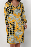 Baby Blue Street Plaid Flowers Pocket Contrast V Neck Printed Plus Size Dresses