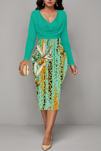 Multicolor Casual Floral Print Ruched Contrast V Neck Printed Dresses