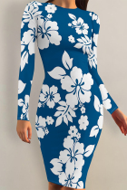 Blue Elegant Flowers Print Contrast O Neck Printed Dresses