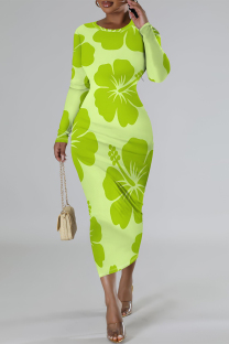 Light Green Elegant Flowers Print Gradient Contrast O Neck Printed Dresses
